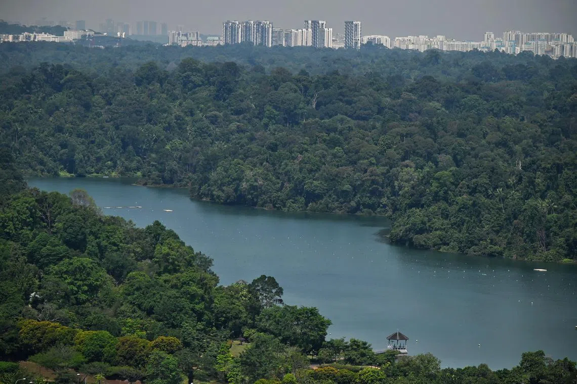 The Government will strike a balance between “ambition and practicality of action” to meet Singapore’s climate targets.