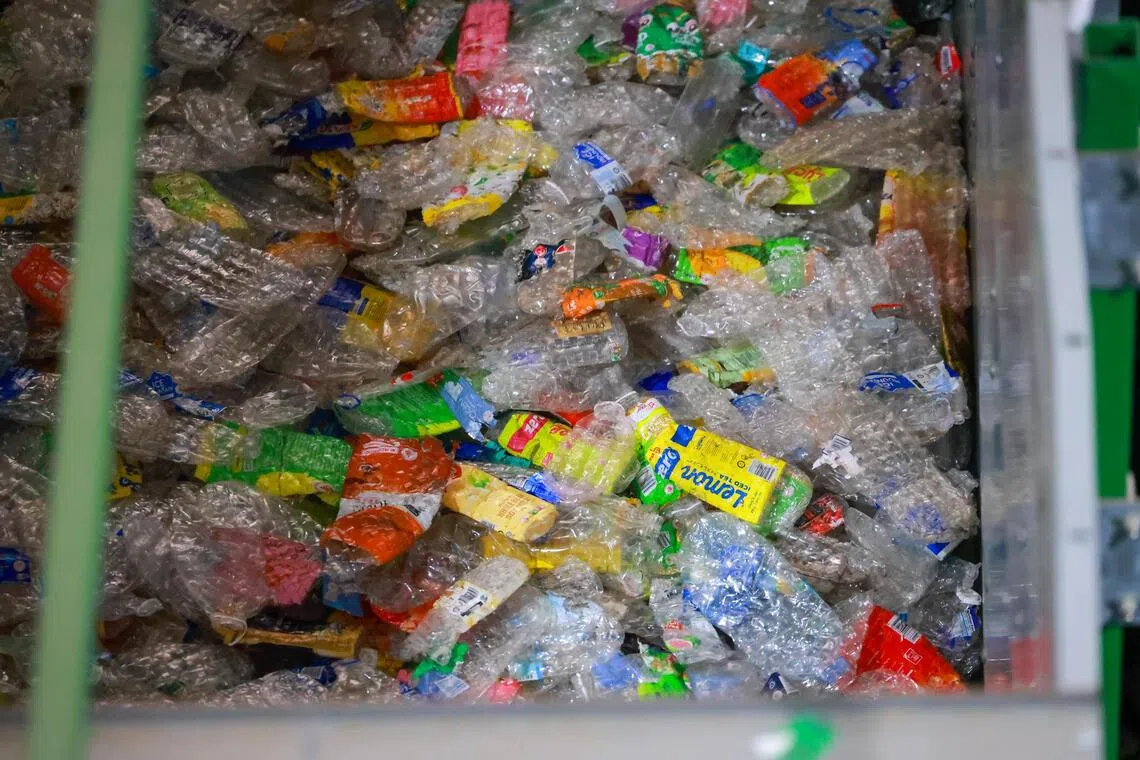 Recycled bottles at the Counting and Sorting Facility pictured on Sept 16, during a media preview.