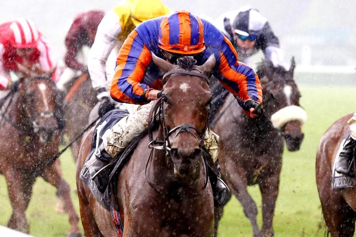 Diamond Necklace (Ryan Moore) ploughed through attritional conditions to land the Group 1 Poule d'Essai des Pouliches (1,600m) at ParisLongchamp on her reappearance on May 10, Coolmore has opted to continue down the French route for the unbeaten filly's Classic season by contesting the Group 1 Prix de Diane (2,100m) at Chantilly on June 14. 

