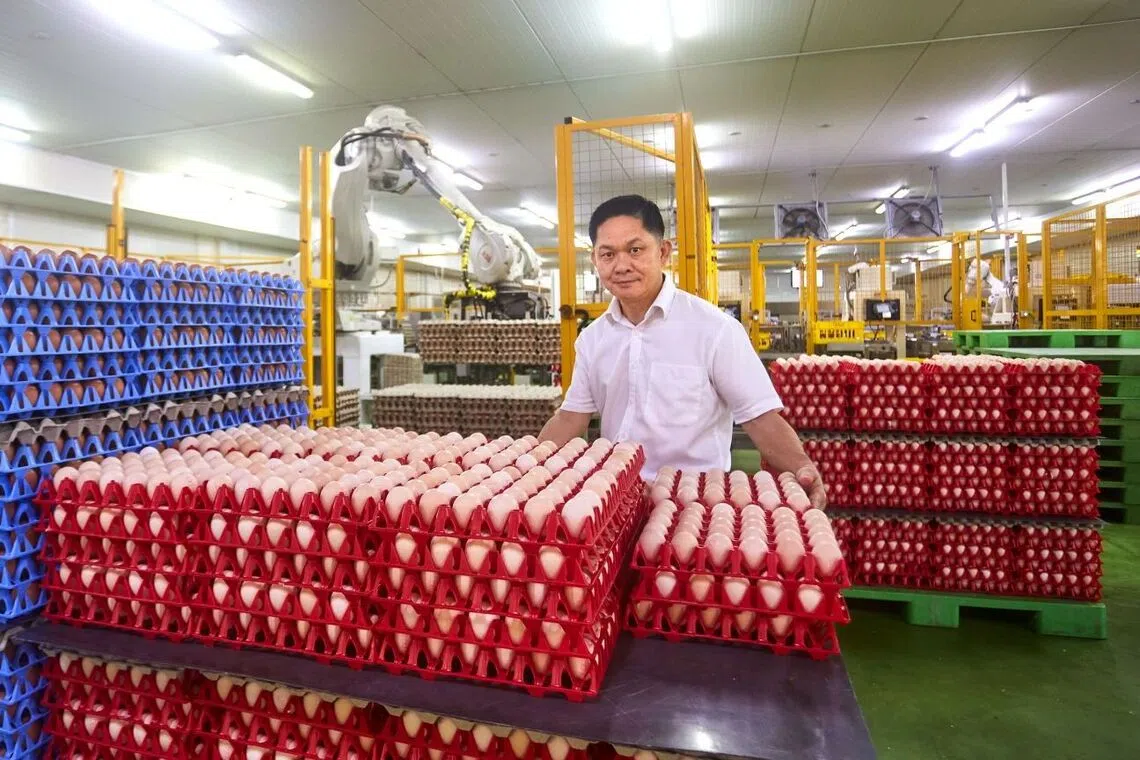 Mr Ma Chin Chew owner of N&N egg farm standing with locally produced eggs