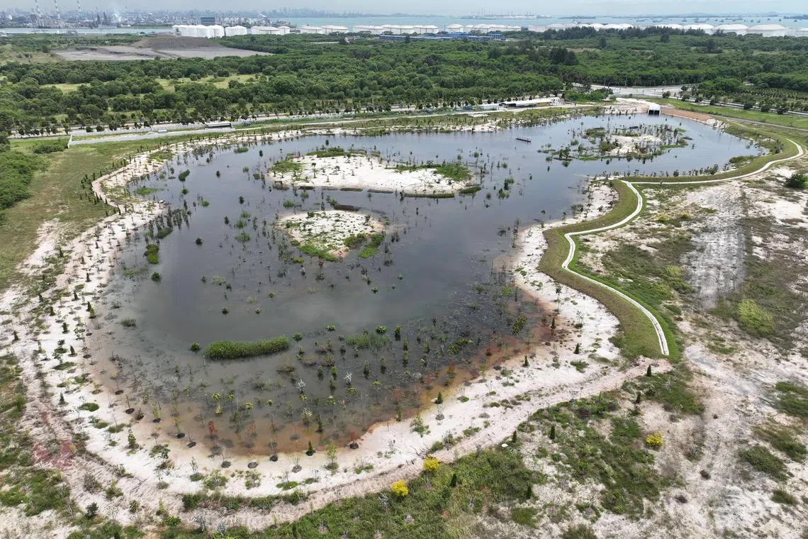 gsflood12 - First-of-its kind pond on Jurong Island to enhance flood resilience against extreme storm Photo: JTC