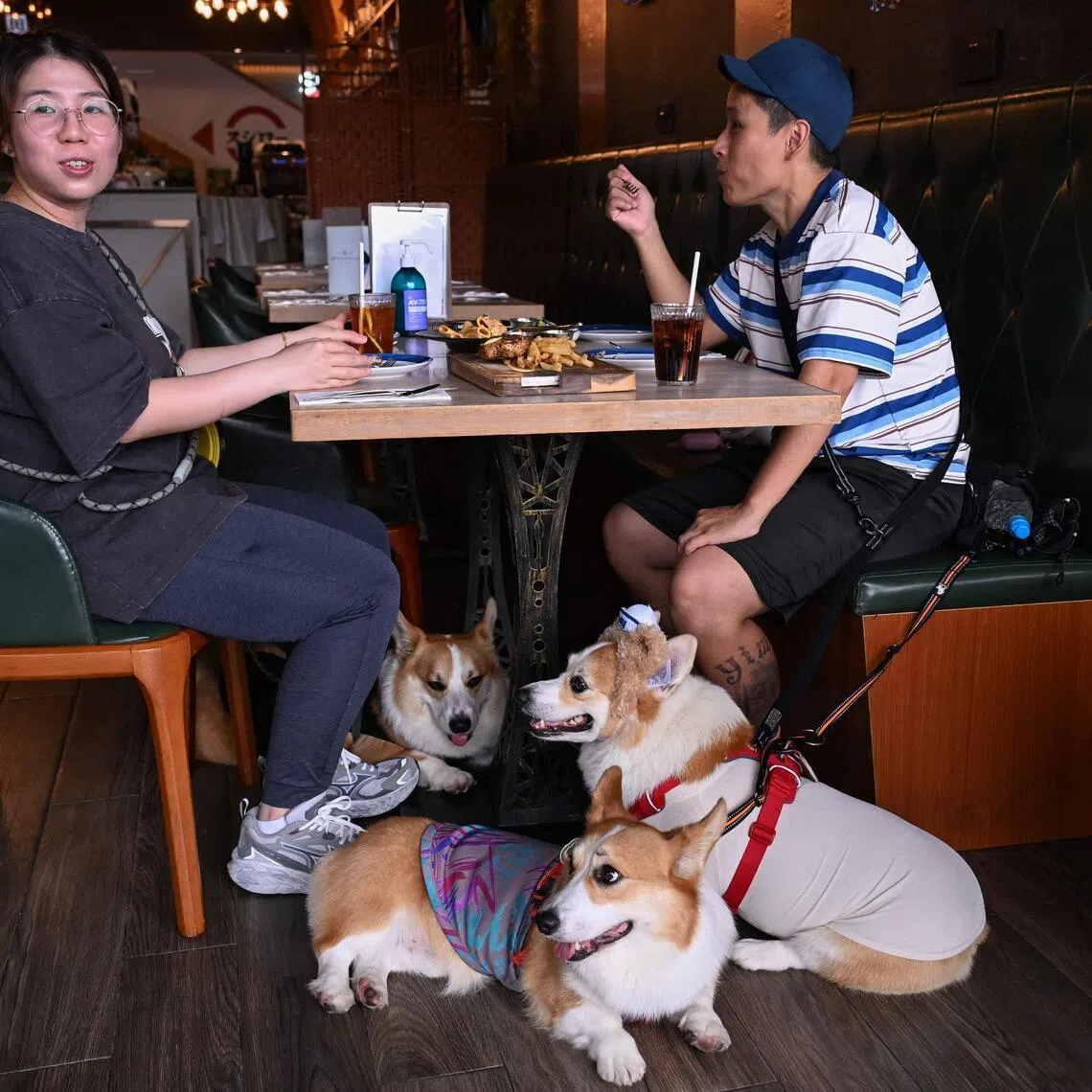 Dog owners Magic Wong (right) and Anny Li eat lunch with their pet corgis at the dog friendly restaurant Harbourview Grill.