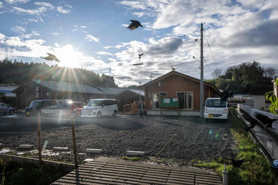 More than 200 people still live in shared emergency shelters, while thousands of others are in accommodation units meant as a stop-gap solution.                  