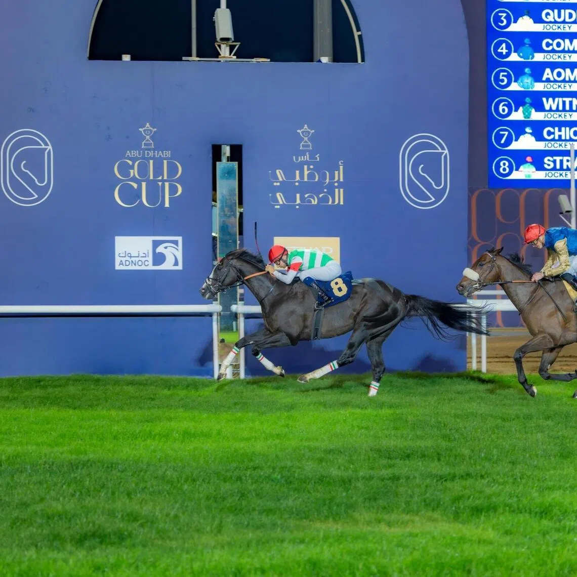 STRAUSS - STRAUSS

PHOTO: ABU DHABI TURF CLUB