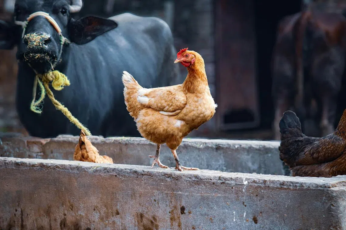 The enthusiasm for registration has been remarkable, with many participants expressing interest in the unique prizes, the organisers said.