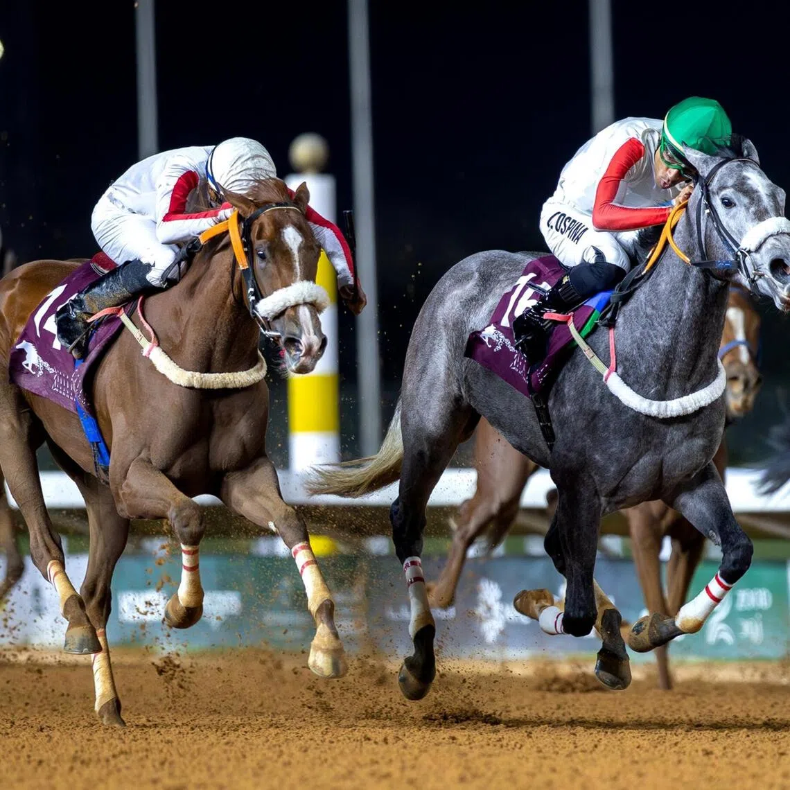 Mutakamilah (KSA) - Mutakamilah (KSA)

PHOTO:  Jockey Club of Saudi Arabia
photo to ST Racing folder