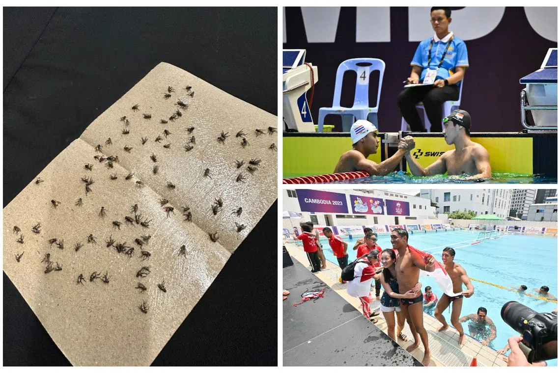 (Clockwise from left) Fly infestations, sportsmanship and family were some of the notable moments at the SEA Games 2023.