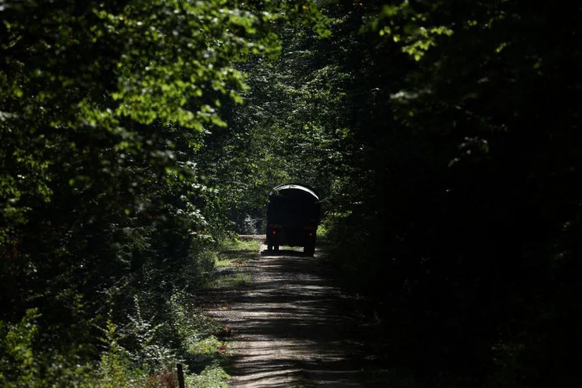 Military truck is seen in the forest, during the migrant crisis on the Polish-Belarusian border, in Topilo, Poland, October 3, 2023. REUTERS/Kacper Pempel