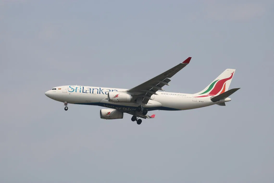 The rodent was spotted on the SriLankan Airlines Airbus A330 flight from the Pakistani city of Lahore on Feb 22.