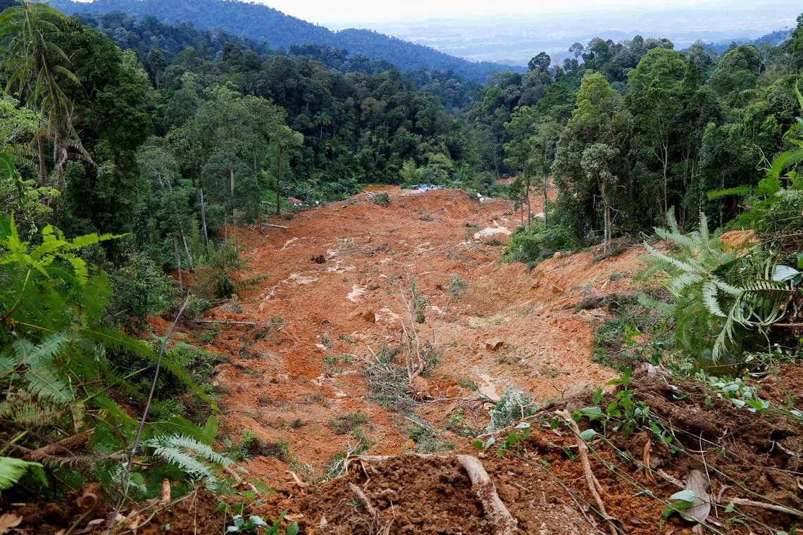 A general view of the landslide in Batang Kali, Selangor state, Malaysia Dec 16, 2022. 