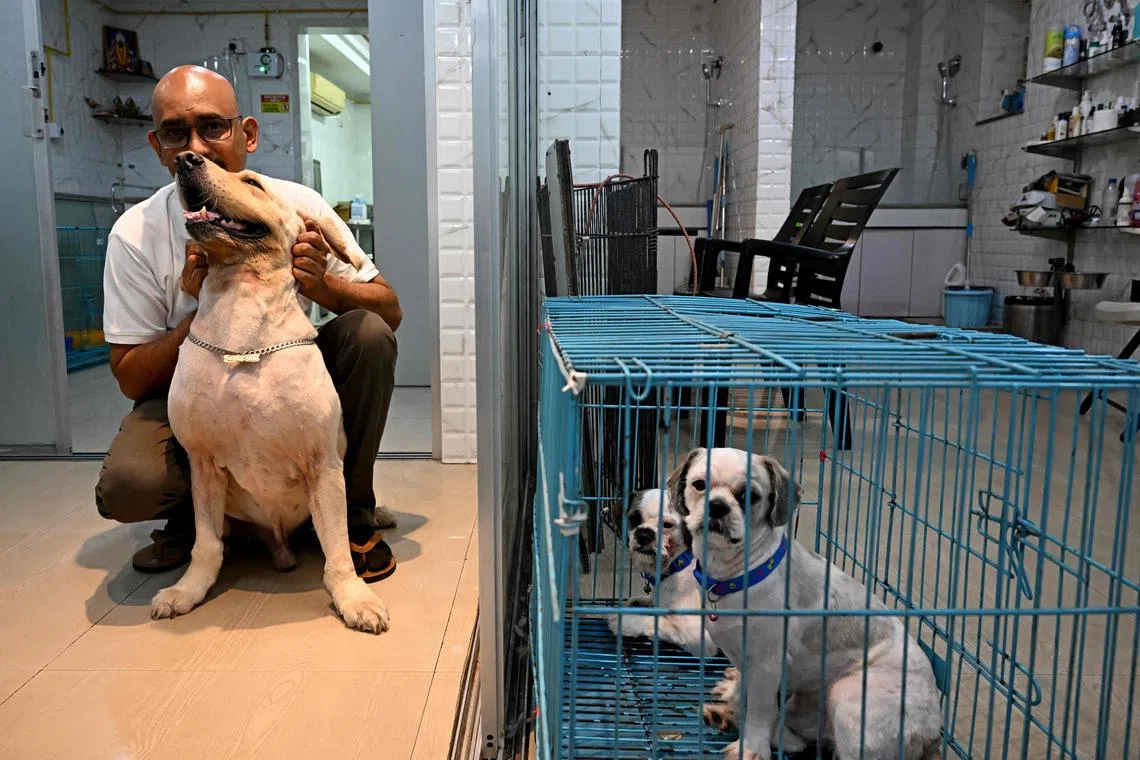 Dogs sit inside a cage as they wait to be treated for heat burns at a pet clinic in Kolkata, India.