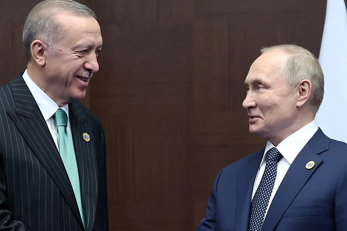 Russian President Vladimir Putin (right) told his Turkish counterpart, Mr Erdogan (left), he wanted "strict observance" of the Istanbul agreement.