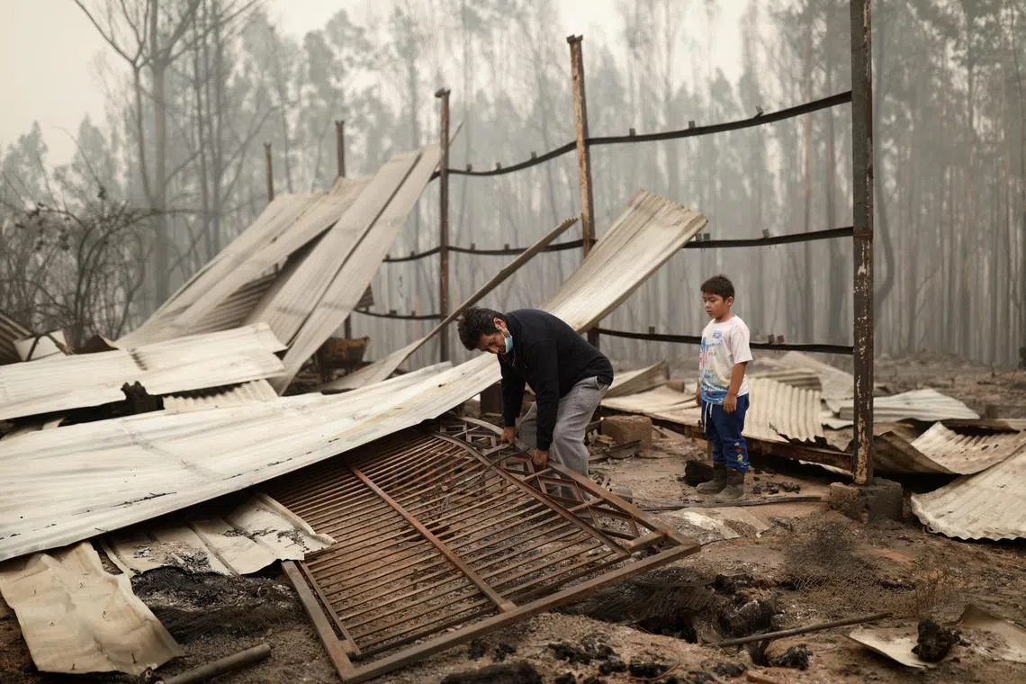 The fires have led to 24 deaths and destroyed 800 homes.
