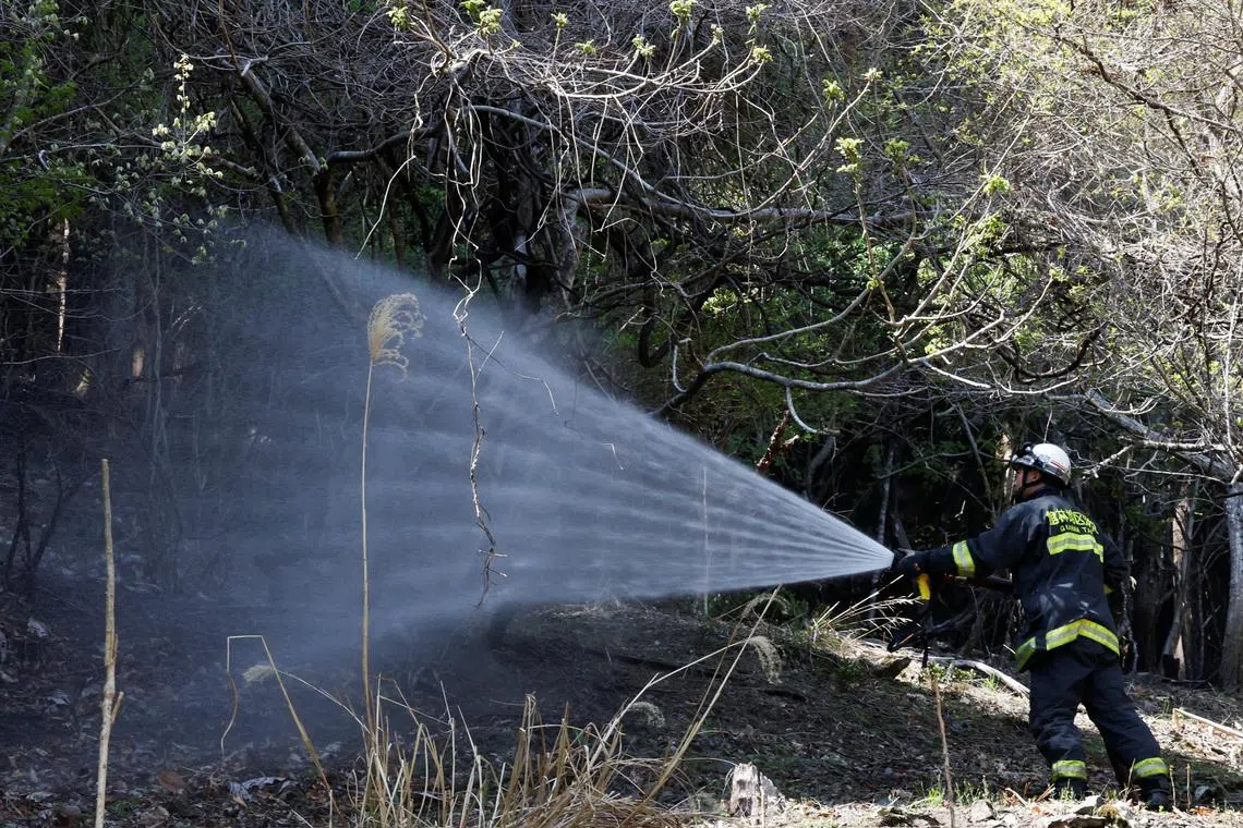 Wildfire in north-east Japan under control, burns 1,633ha in 11 days