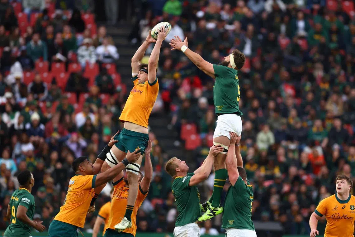 Springboks draft in Fassi for injured Le Roux against Australia | The ...