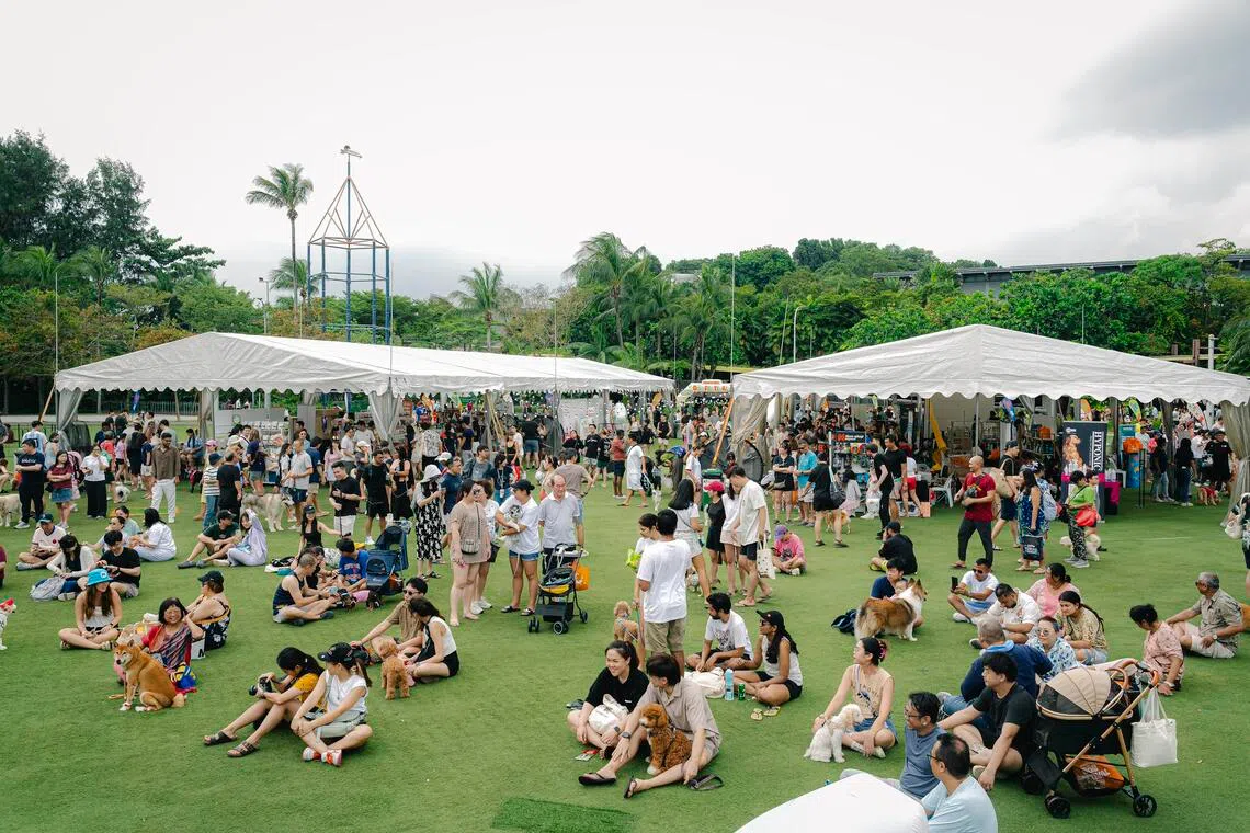 Singapore Dog Festival returns to Palawan Green, Sentosa, for its 2026 edition.