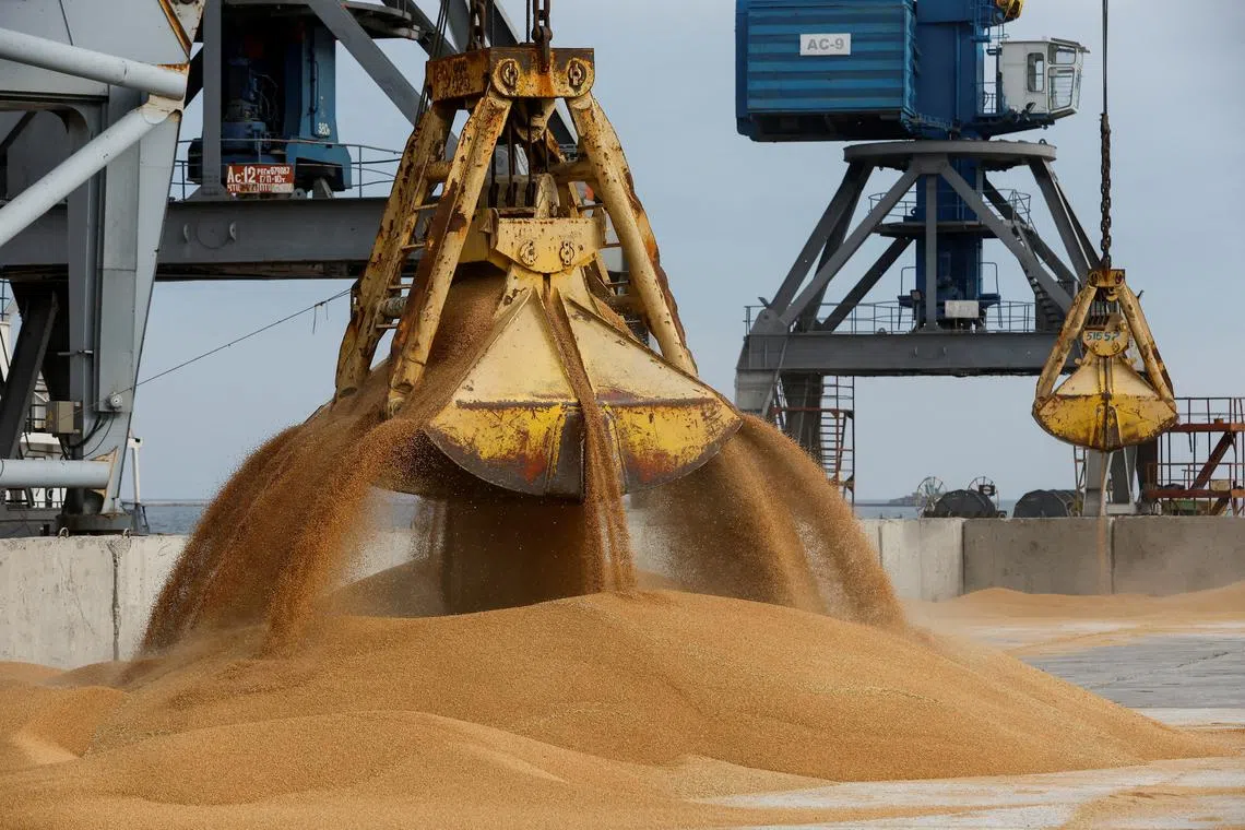 FILE PHOTO: A crane loads wheat grain into the cargo vessel Mezhdurechensk before its departure for the Russian city of Rostov-on-Don in the course of Russia-Ukraine conflict in the port of Mariupol, Russian-controlled Ukraine, October 25, 2023. REUTERS/Alexander Ermochenko/File Photo