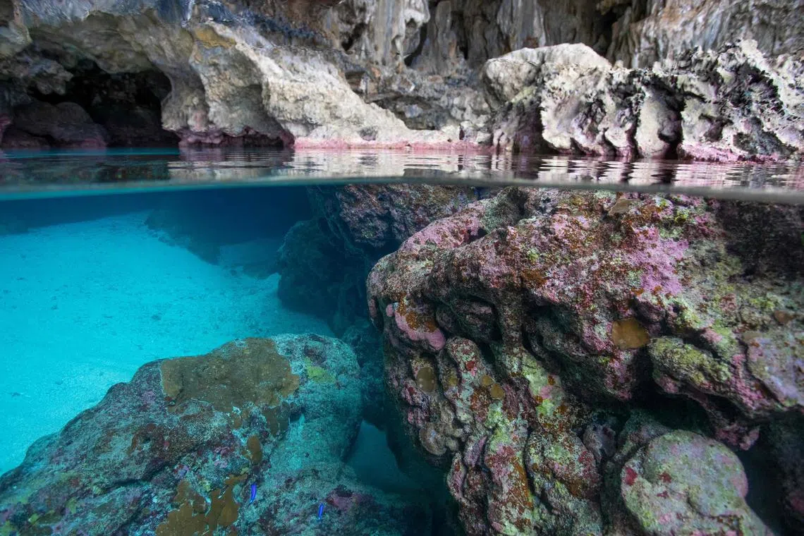 Under the new plan, companies, philanthropies and individuals can pay NZ$250 (S$204) to protect and manage one or more square kilometres of water.