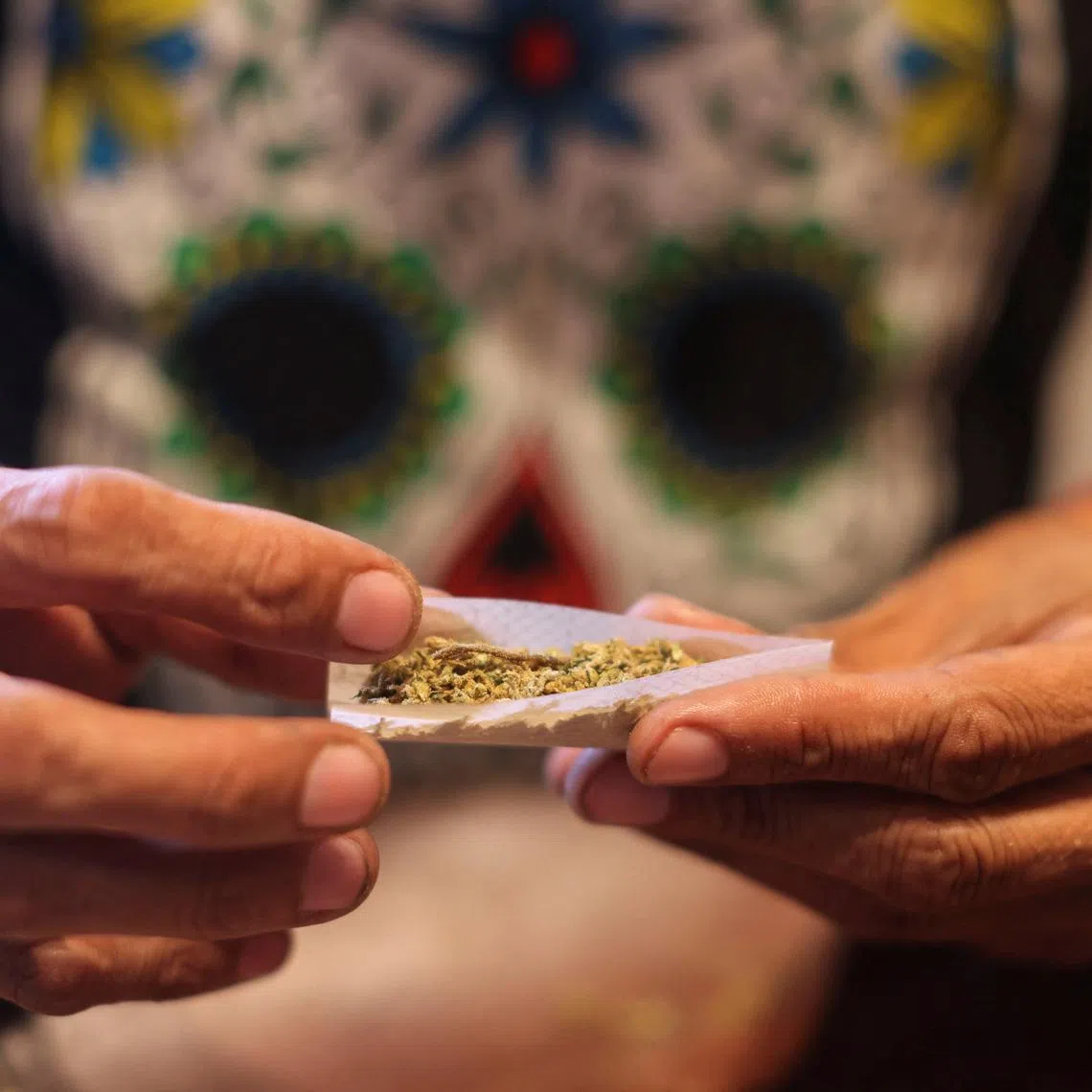 Four deaths since 2009 have been judged by America’s Poison Centres as likely caused by cannabis poisoning.