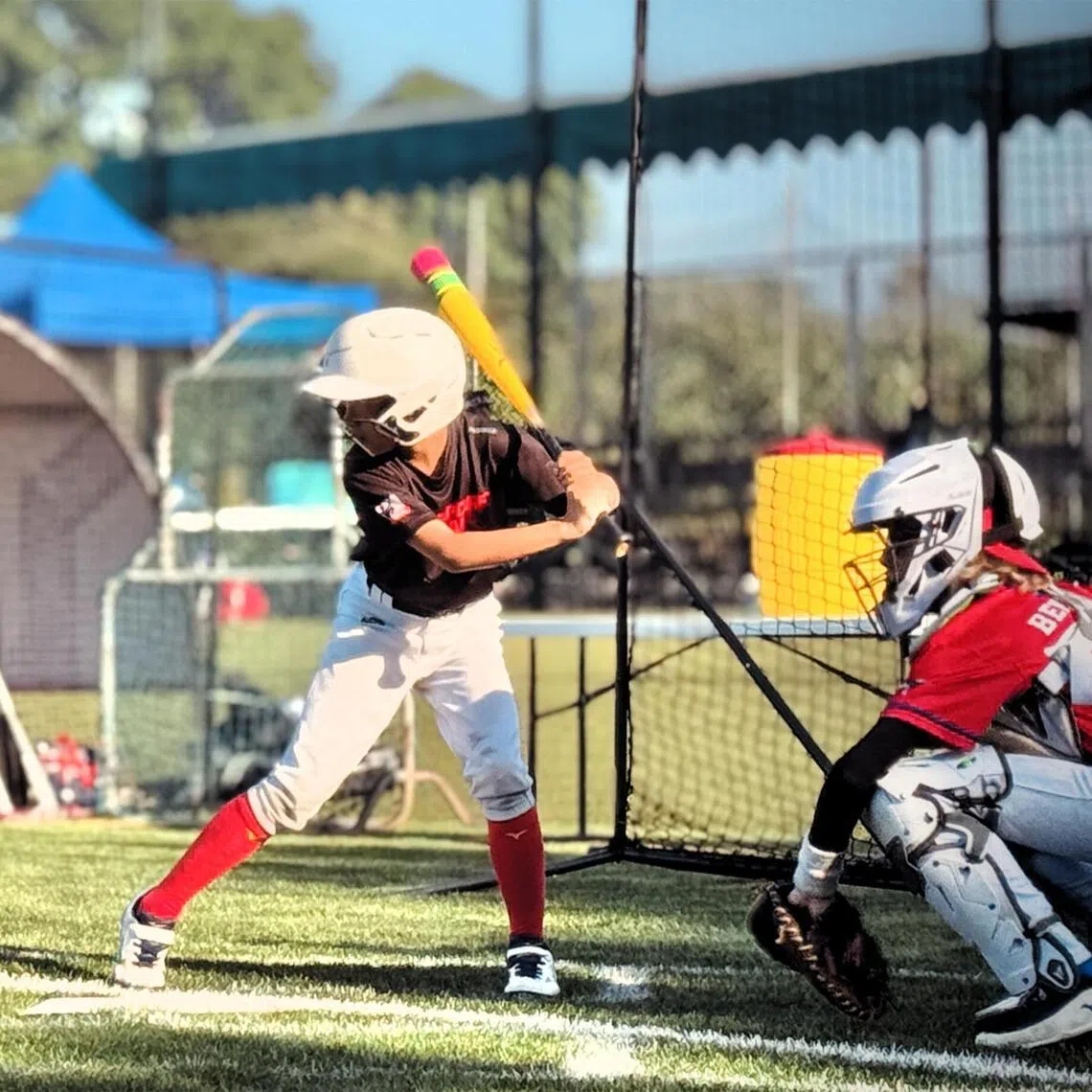 Kids aged nine to 12 can join the Youth Baseball Carnival to learn the sport.