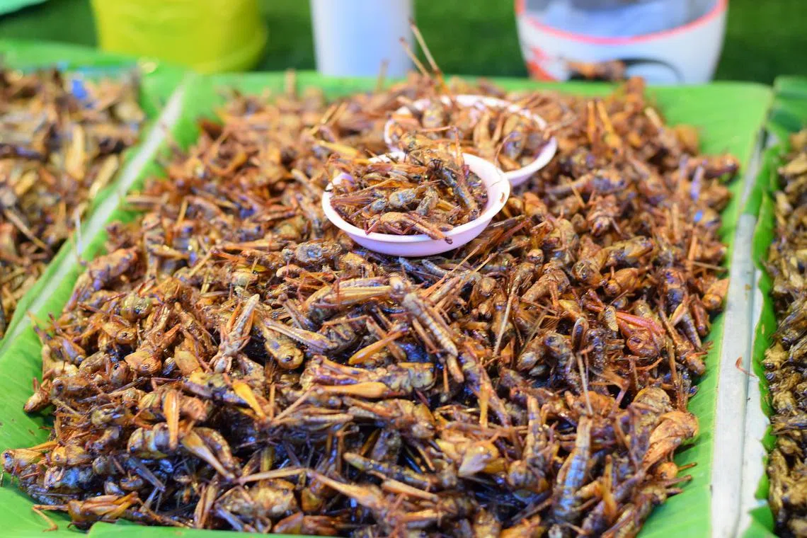 The approved insects and insect products would be subject to food safety requirements.