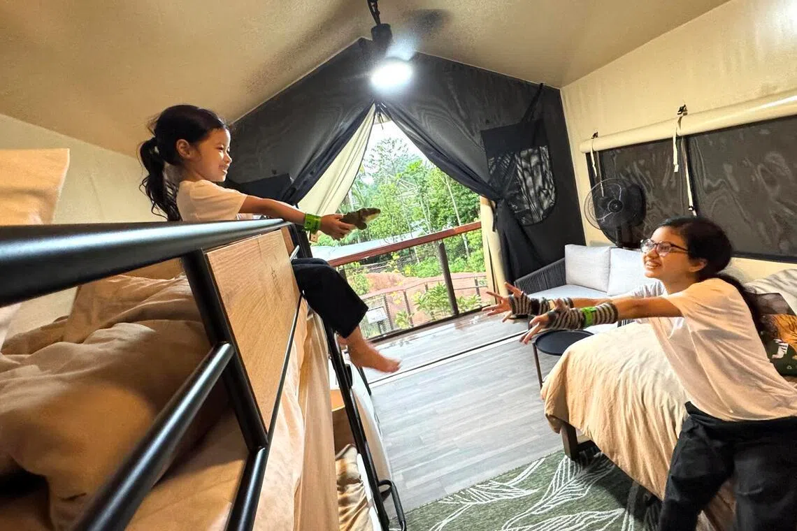 The 4m by 5m tent features air-conditioning, a queen-size bed and a bunk bed.