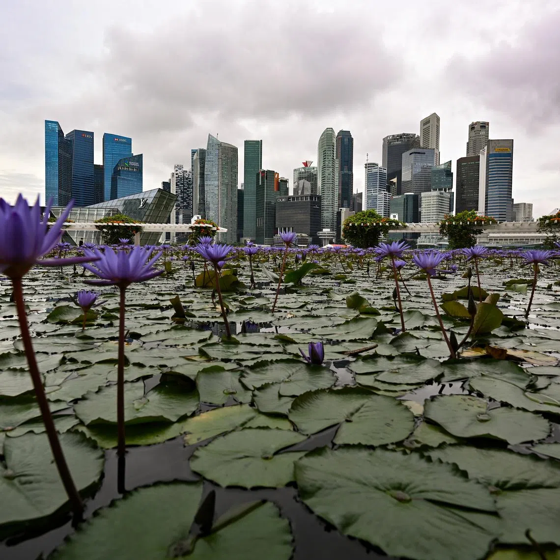 With all the uncertainty facing investors in 2024, it is good to take measures to get your portfolio into shape. 