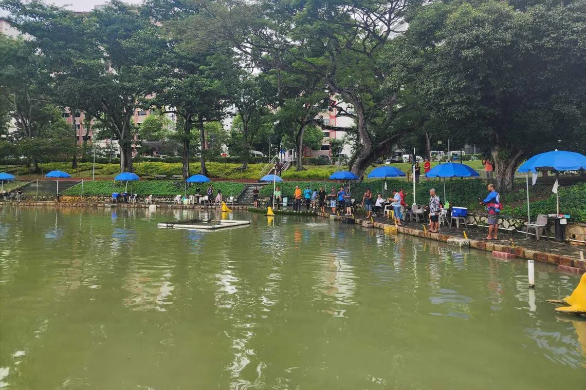 D'Best Recreation, a saltwater fishing pond in Pasir Ris, saw its number of patrons increase in the week that followed the oil spill.