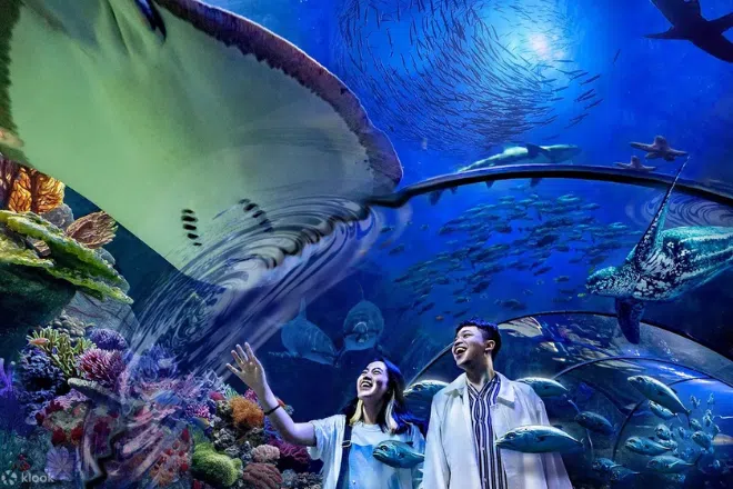 Best short trips from Singapore: Sea World Ancol
