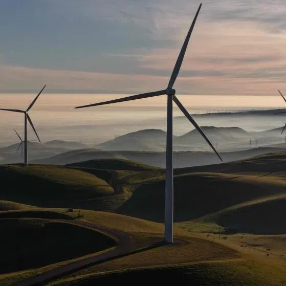 Falling costs have made it viable for renewables to supplement hydrocarbons as key sources of energy, says the writer.