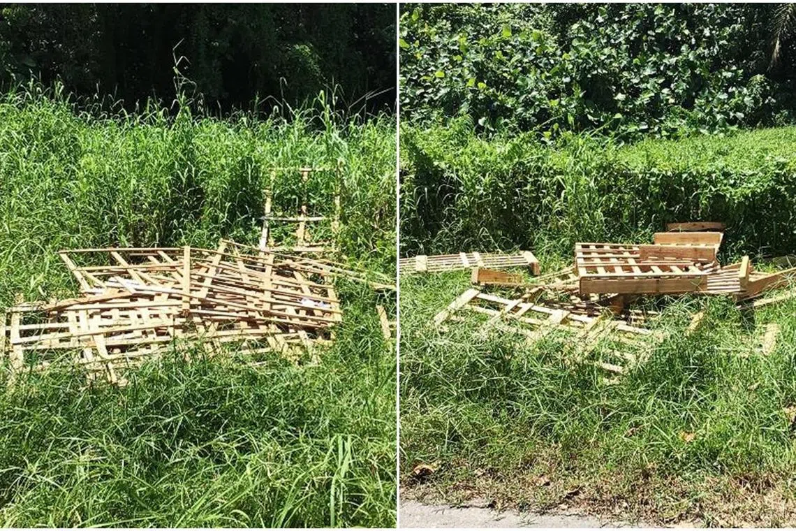 Dismantled wooden crates and pallets disposed illegally along Lim Chu Kang Lane.