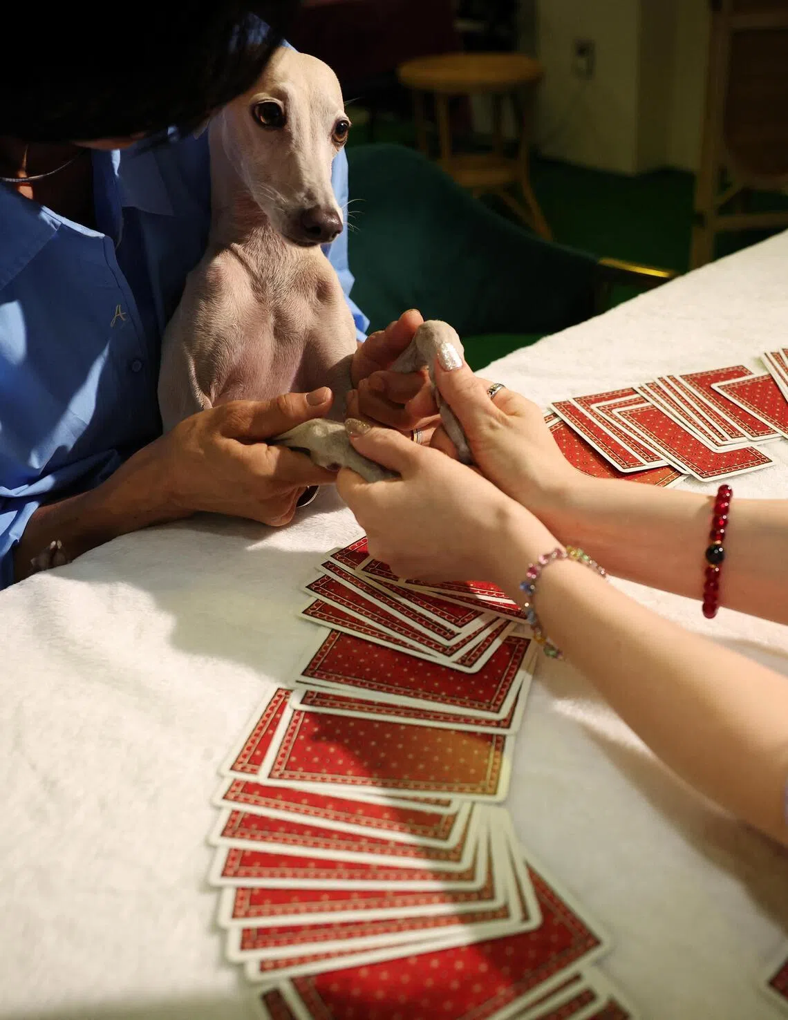 Ahn Hye-joo and her dog Khan get a pet tarot reading at a pet tarot cafe in Seoul, South Korea.