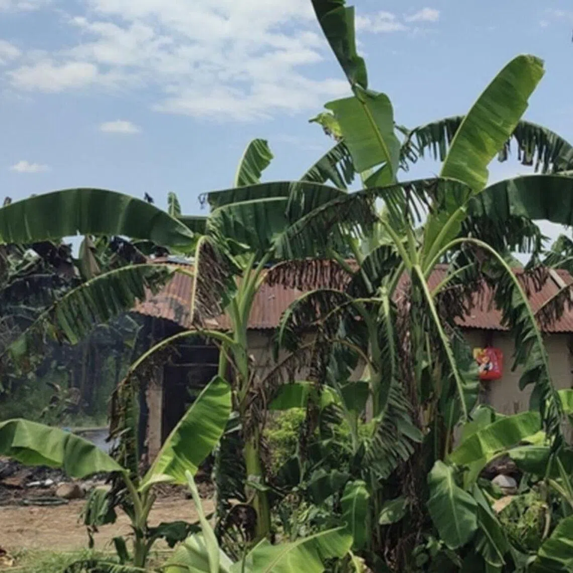 The house of Ashika Bote, who was killed along with her four-year-old son, by an elephant.