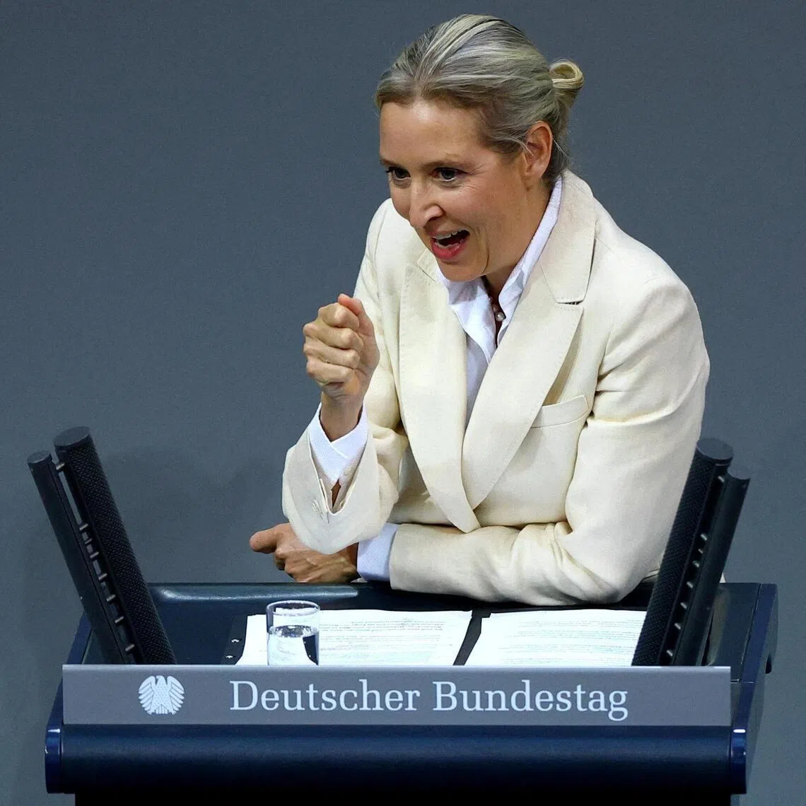 Alternative for Germany co-leader Alice Weidel said US President Donald Trump was behaving no differently from Russian Vladimir Putin.