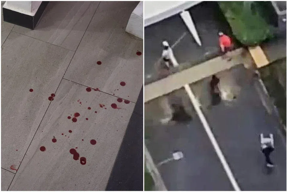 Joseph Lau Jin Hua attacked several people between 6.45pm and 7.15pm on Feb 3, 2024, while armed with a chopper and a knife.