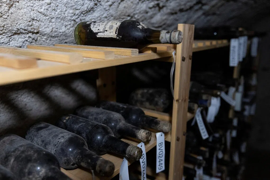 Bottles of 19th-century wine are kept on shelves in a cellar of Becov castle, as State Castle and Chateau of Becov nad Teplou, where the restored Chateau d'Yquem wine collection, discovered in 1985 and linked to the Beaufort-Spotin family, is presented to the public following a complex restoration with French experts in Becov nad Teplou, Czech Republic, June 1, 2026 REUTERS/Eva Korinkov