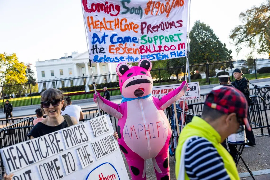 A protester dressed as a frog rallies against rising health care costs outside the White House.

