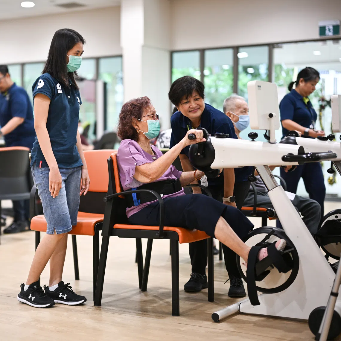 On Dec 10, the Government gave the green-light to a shared stay-in model for seniors, in which several people can share a home and get support from a staff of caregivers.