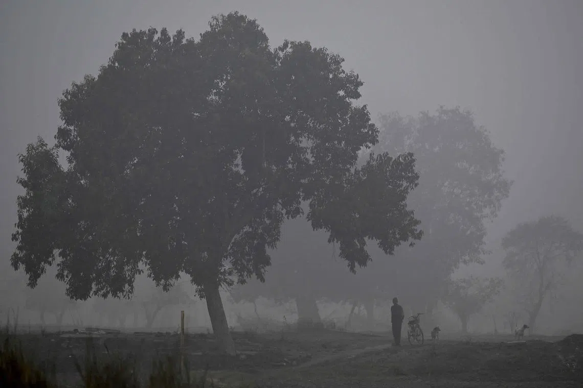 A man standing near the Yamuna River during a cold winter morning in New Delhi, India on Feb 3, 2026. 