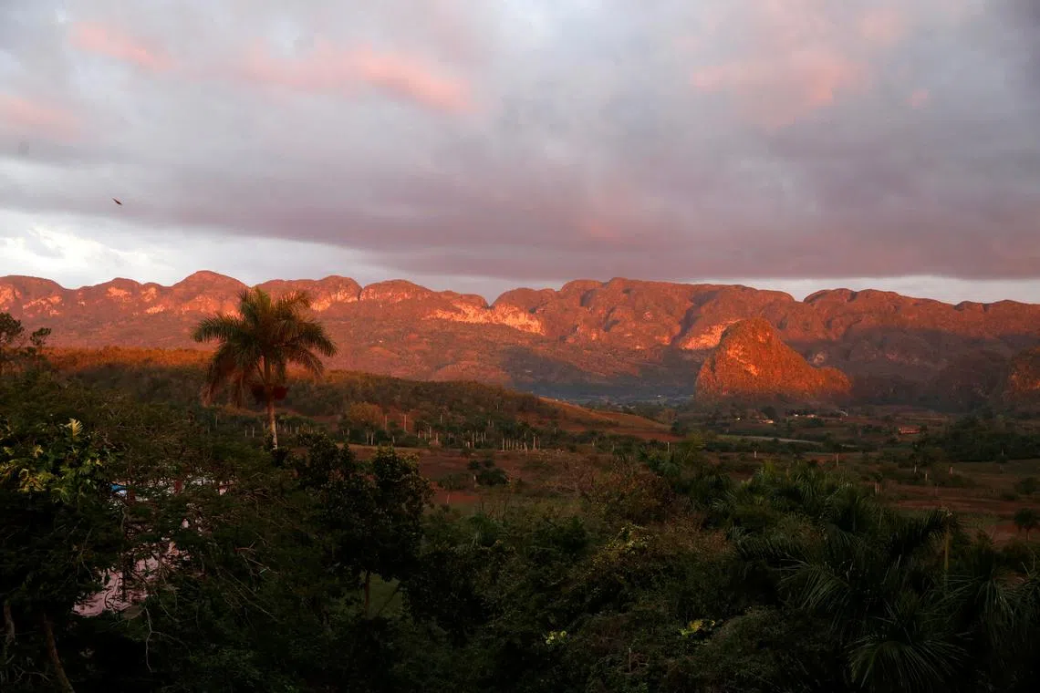 FILE PHOTO: A general view of  the valley of Vinales, where tobacco plants are grown, is pictured in the western Cuban province of Pinar del Rio, January 26, 2015. Picture taken January 26, 2015.  REUTERS/Pilar Olivares/File Photo