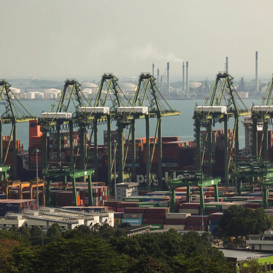 Singapore’s export growth in June was slightly softer than the 28.7 per cent expansion forecast by economists in a Bloomberg poll.