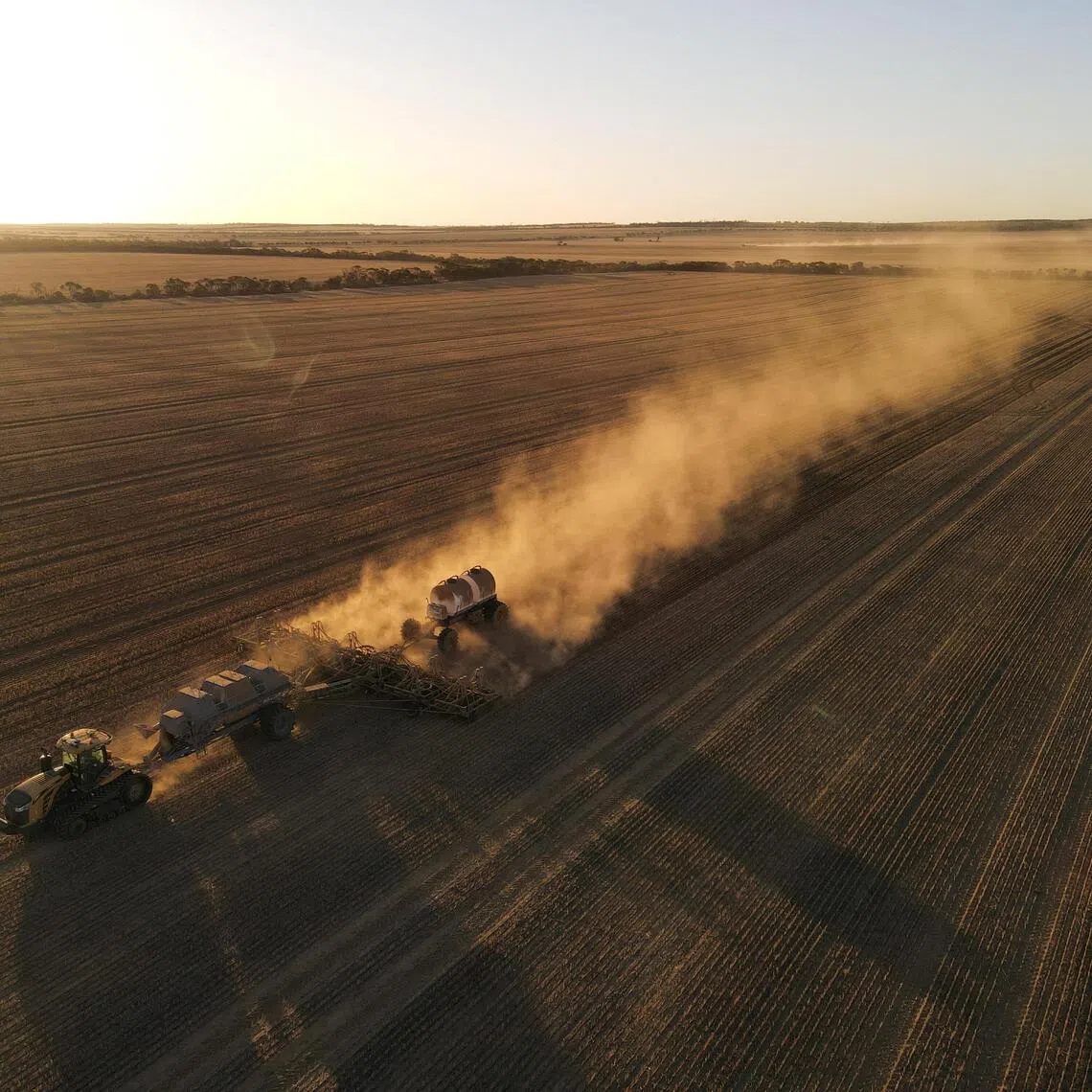 Wars in Iran and Ukraine along with El Nino are creating a perfect storm of higher costs and lower crop yields.