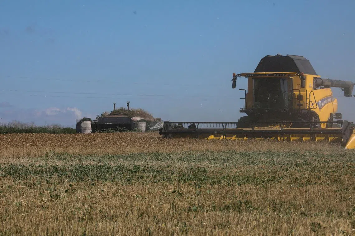 FILE PHOTO: An agricultural worker operates a combine during wheat harvesting in a field, amid Russia's attack on Ukraine, in Kharkiv region, Ukraine July 6, 2024. REUTERS/Vyacheslav Madiyevskyy/File Photo