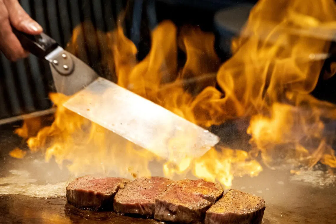 hyteppan29 - MIYOSHI_Teppan-Kaiseki_Wagyu Tenderloin.




Copyright: Miyoshi by Fat Cow