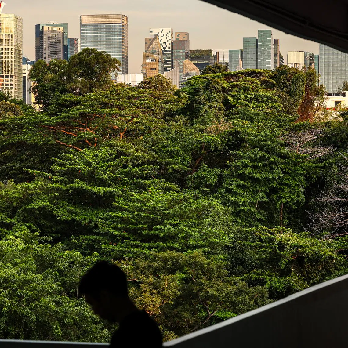 Generic photo for stories regarding Green Buildings and Sustainable Buildings. Part of Singapore Green Plan 2030 to change the way people live, work, study and play