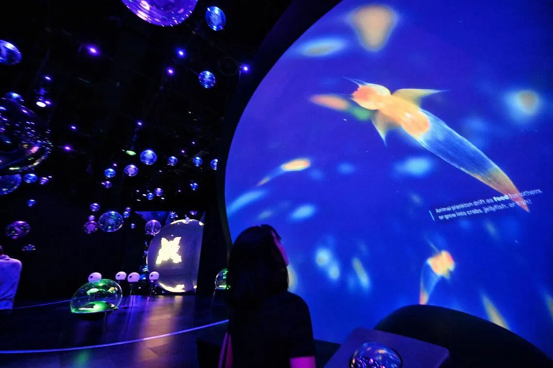 Micro Worlds lets visitors zoom in on a wonder library of hidden microscopic life, magnifying powerful ecosystems usually invisible to the naked eye.