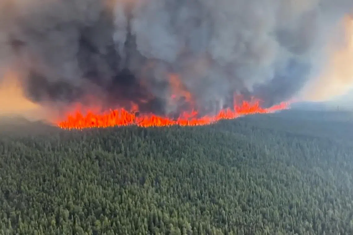 A video screen grab shows smoke rising from a wildfire in Tumbler Ridge, British Columbia.