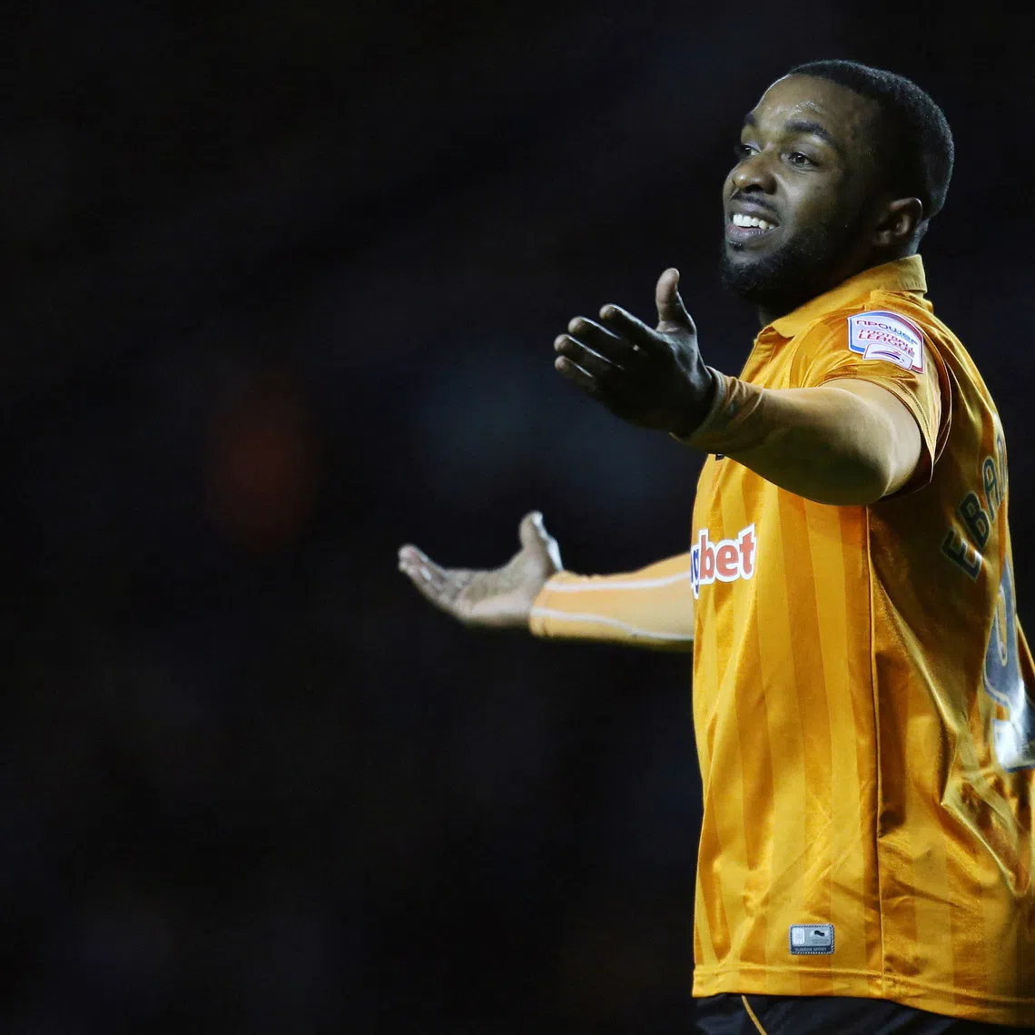 FILE PHOTO:   Wolves' Sylvan Ebanks Blake looks dejected, January 1, 2013. Mandatory Credit: Action Images/ Carl Recine/File Photo