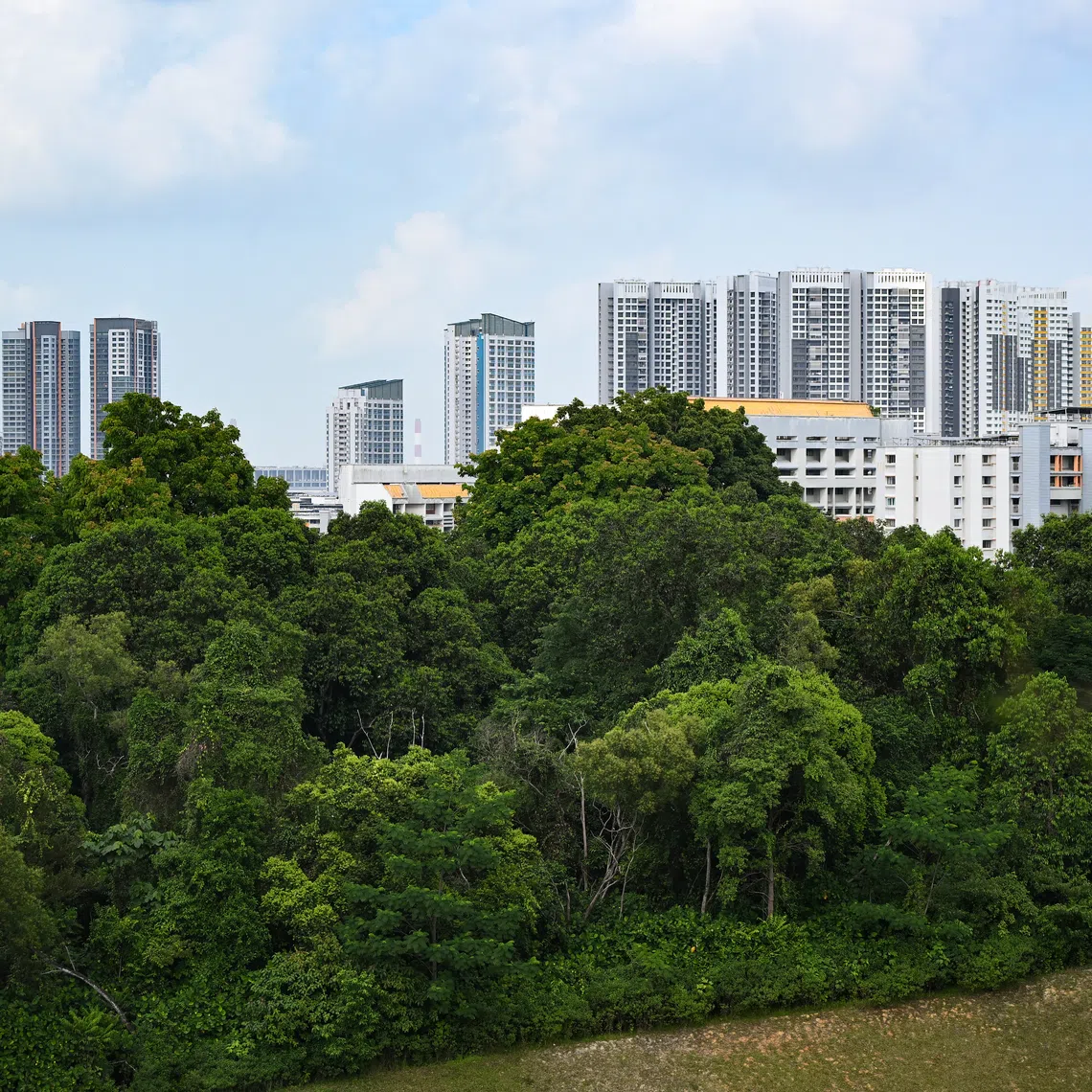 At least 18 questions have been filed about the planned redevelopment of Maju Forest (above) and Gillman Barracks.