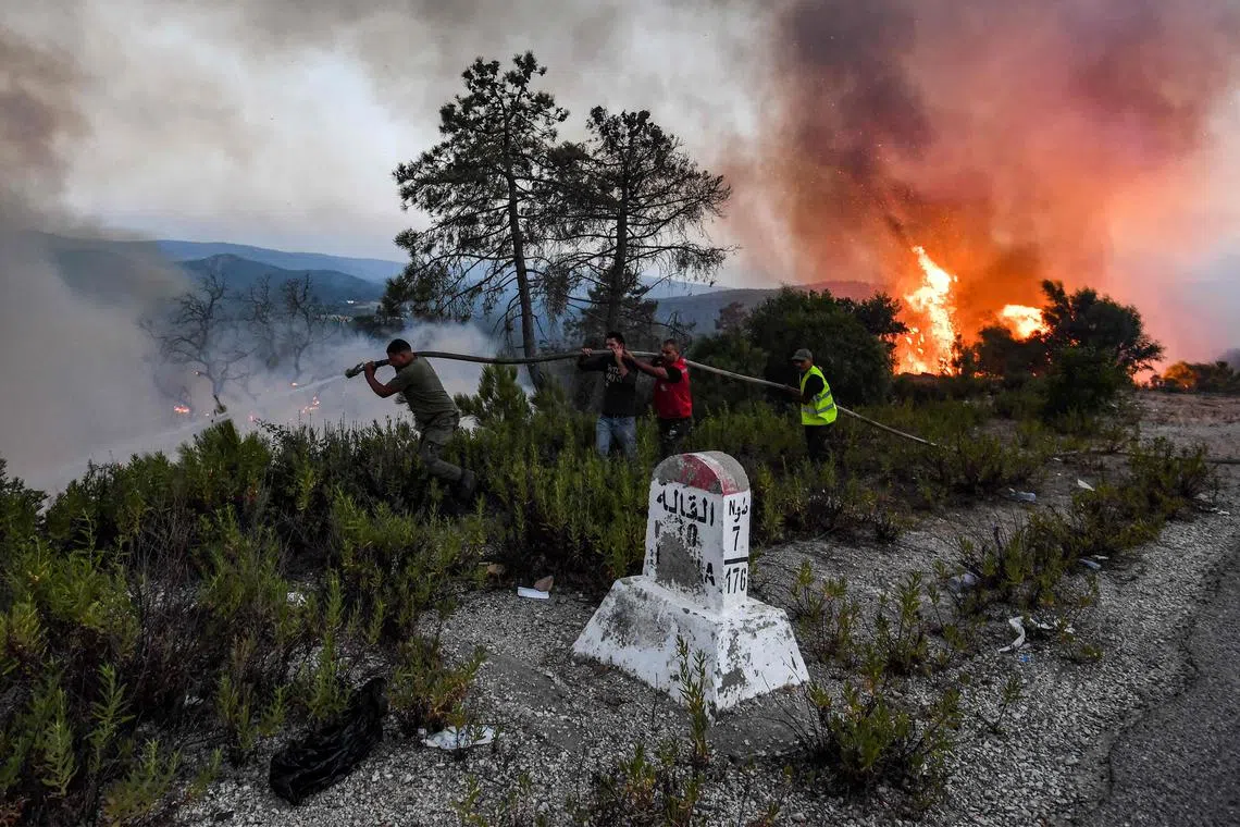 Firefighters attempt to extinguish a raging forest fire near the town of Melloula in northwestern Tunisia close to the border with Algeria on July 24. Fires raged again on July 24 in a Tunisian pine forest near the border with Algeria, after another blaze in the area the prior week. Wildfires raging across Algeria during a blistering heatwave have killed more than 30 people and forced mass evacuations, the government said. AFP